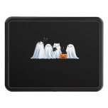 Cute Ghosts and Black Cats Halloween � Spooky Seas Hitch Cover