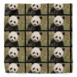 Cute Giant Panda Bear Bandana