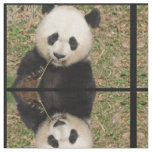 Cute Giant Panda Bear Fabric