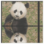 Cute Giant Panda Bear Fabric