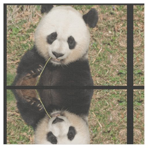 Cute Giant Panda Bear Fabric