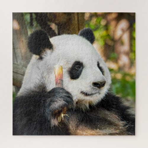 Cute Giant Panda Bear Nature Animal Jigsaw Puzzle