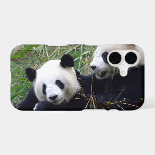 Cute Giant Panda Bears eating bamboo / love iPhone 17 Case
