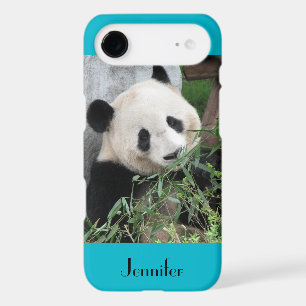 Cute Giant Panda, Blue Background, Name iPhone 17 Air Case
