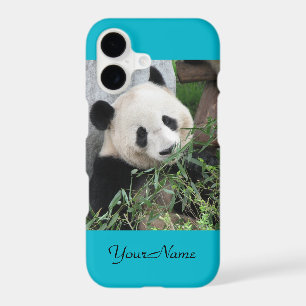 Cute Giant Panda, Blue, Name, iPhone 17 Case