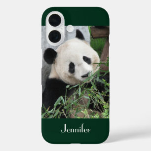 Cute Giant Panda Dark Green Background, Name,  iPhone 16 Case