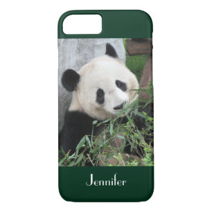 Cute Giant Panda Dark Green Trim, Custom Name iPhone 8/7 Case