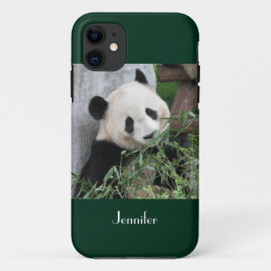 Cute Giant Panda Green Background, Name,  iPhone 11 Case