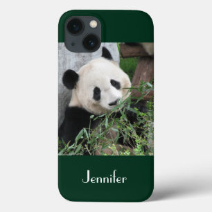 Cute Giant Panda Green Background, Name, iPhone 13 Case