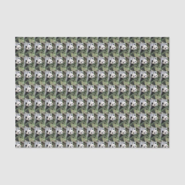 Cute Giant Panda Green Black and White Tissue Paper (Front)