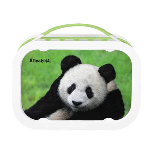 Cute Giant Panda Lunch Box | Zazzle