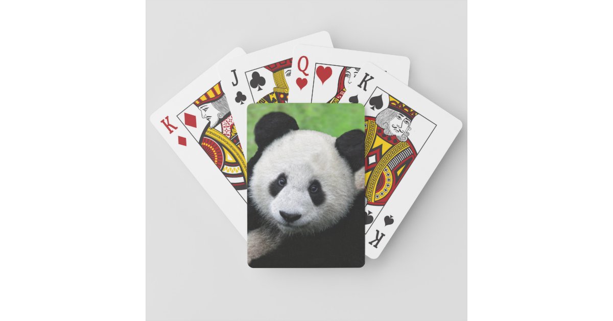 panda playing cards