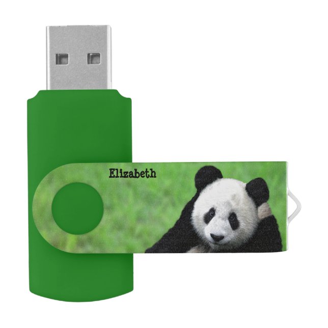 Cute Giant Panda USB Flash Drive (Opened)