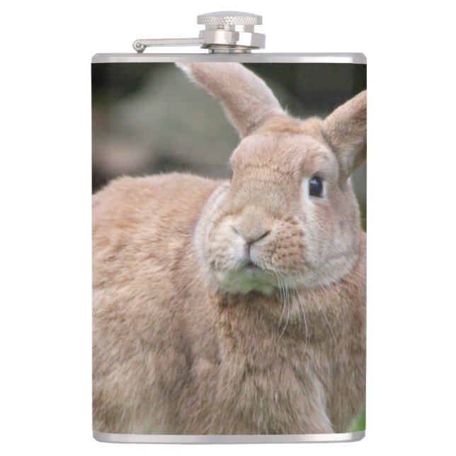 Cute ginger bunny with big ears  flask (Front)