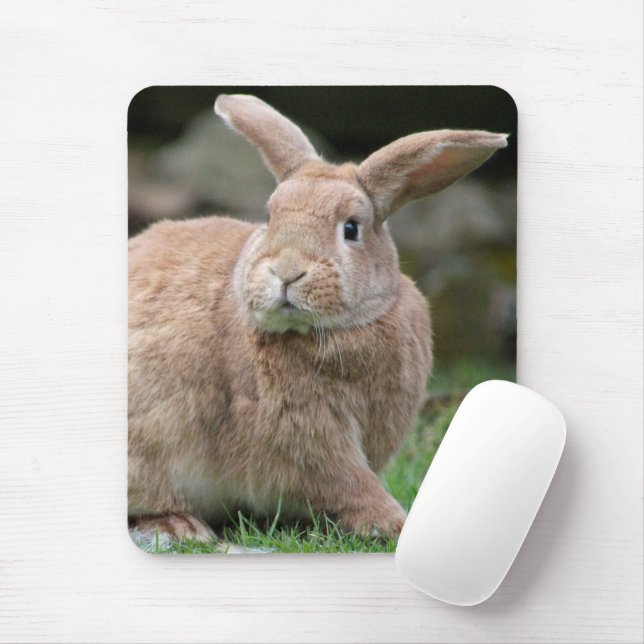 Cute ginger bunny with big ears  mouse pad (With Mouse)