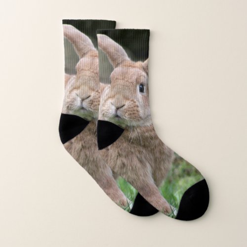 Cute ginger bunny with big ears socks
