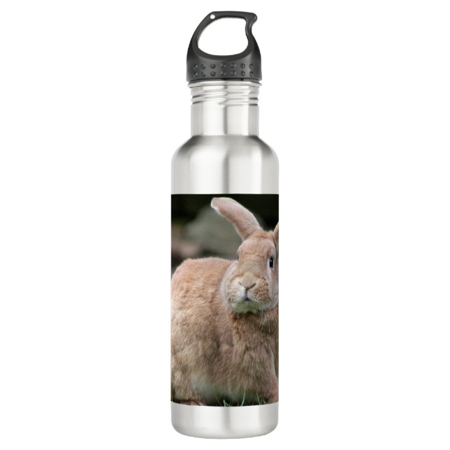 Cute ginger bunny with big ears  stainless steel water bottle (Front)