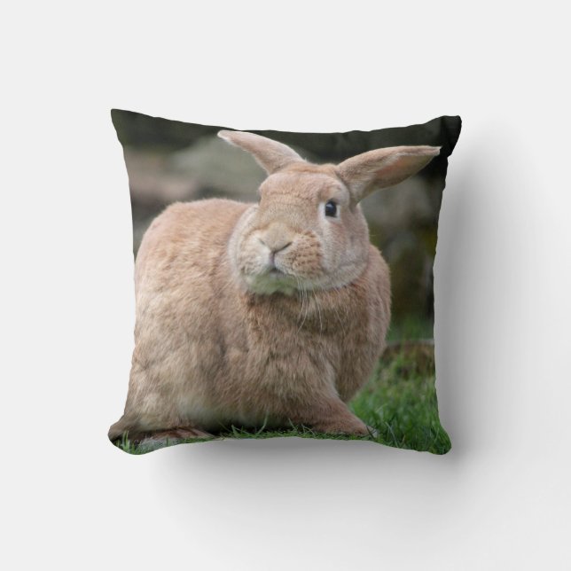 Cute ginger bunny with big ears     throw pillow (Front)
