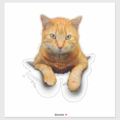 CUTE GINGER CAT IN A POCKET  STICKER