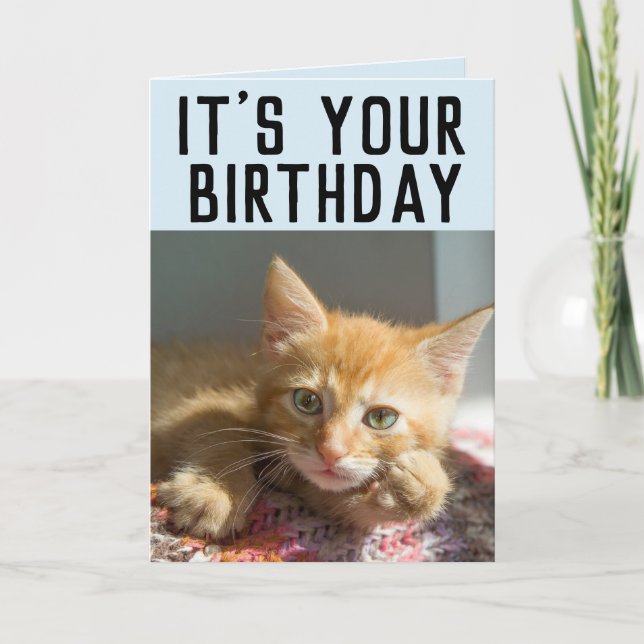 CUTE GINGER CAT KITTEN BIRTHDAY CARDS (Front)