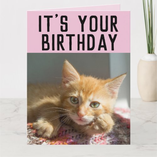 CUTE GINGER CAT KITTEN BIRTHDAY CARDS