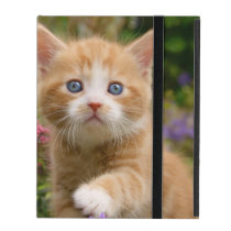 Cute Ginger Cat Kitten Garden, protective hardcase iPad Cover Cute Ginger Cat Kitten Garden, protective hardcase iPad Cover