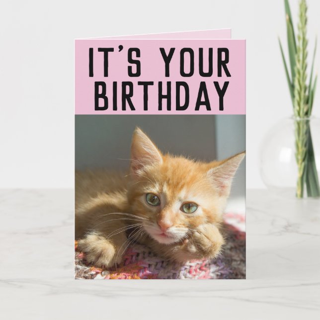 CUTE GINGER CAT KITTEN GIRLS BIRTHDAY CARDS (Front)