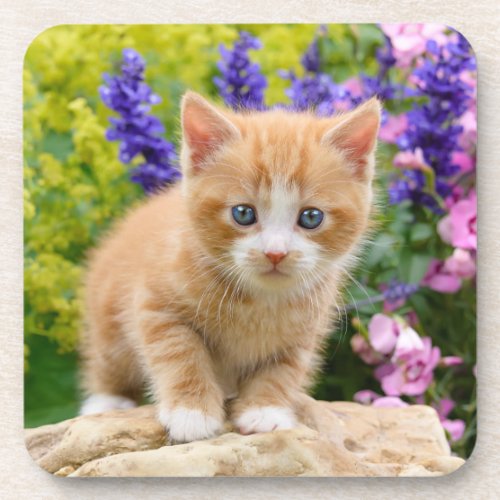 Cute Ginger Cat Kitten in a Flowery Garden Photo _ Beverage Coaster