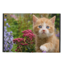 Cute Ginger Cat Kitten in a Garden, hardcase Powis iPad Air 2 Case Cute Ginger Cat Kitten in a Garden, hardcase Powis iPad Air 2 Case
