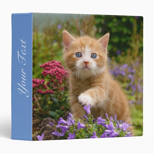 Cute Ginger Cat Kitten in a Garden Photo Portrait 3 Ring Binder