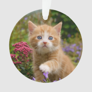 Cute Ginger Cat Kitten in a Garden Photo Portrait- Ornament