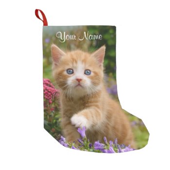 Cute Ginger Cat Kitten In A Garden Photo Portrait Small Christmas Stocking by Kathom_Photo at Zazzle