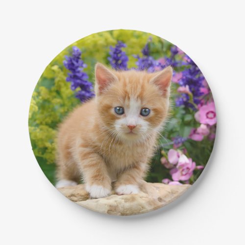 Cute Ginger Cat Kitten in Flowers _ Funny Party Paper Plates