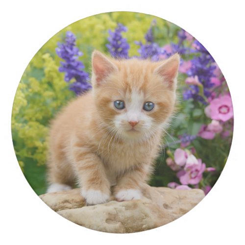 Cute Ginger Cat Kitten in Flowery Garden Portrait Eraser
