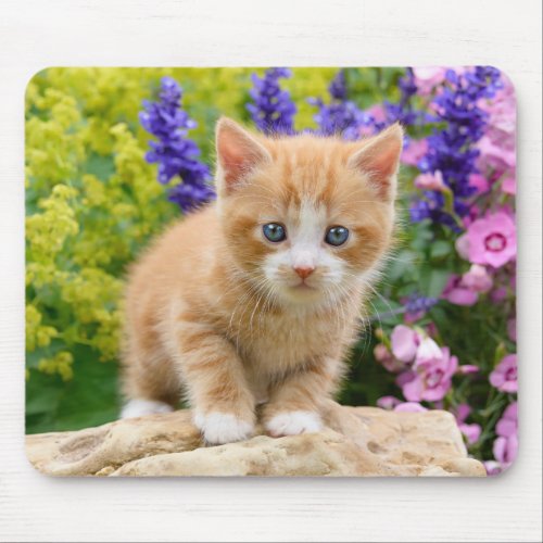 Cute Ginger Cat Kitten in Flowery Garden Portrait Mouse Pad