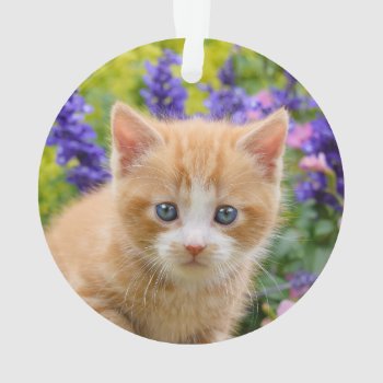 Cute Ginger Cat Kitten In Flowery Garden Portrait Ornament by Kathom_Photo at Zazzle