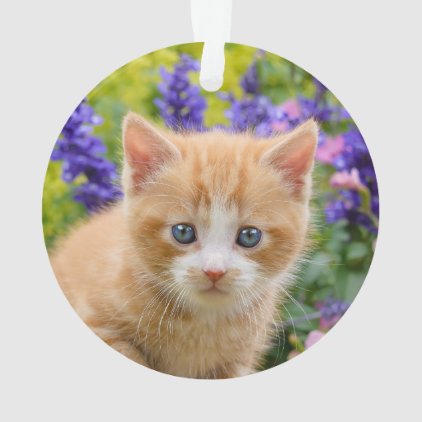 Cute Ginger Cat Kitten in Flowery Garden Portrait Ornament