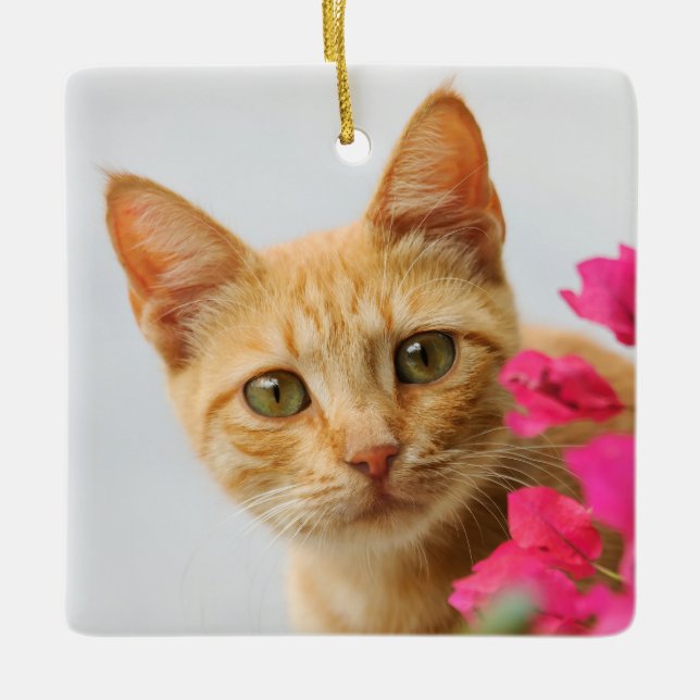 Cute Ginger Cat Kitten is Watching Photo - Ceramic Ornament (Front)