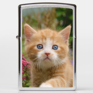 Cute Ginger Cat Kitten Portrait - windproof Zippo Lighter