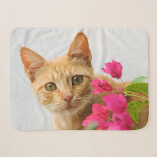 Cute Ginger Cat Kitten Watching Eyes Head Photo Sherpa Blanket