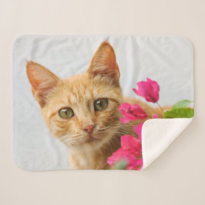 Cute Ginger Cat Kitten Watching Eyes Head Photo Sherpa Blanket