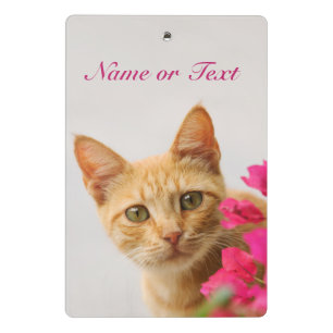 Cute Ginger Cat Kitten Watching Photo Personalized Mini Clipboard