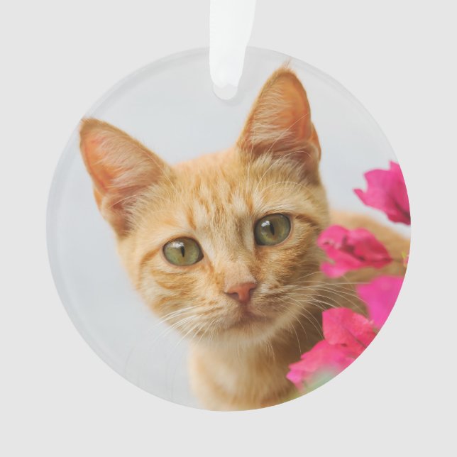 Cute Ginger Cat Kitten Watching You  round acrylic Ornament (Front)
