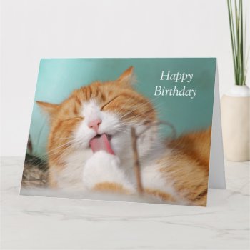 Cute Ginger Cat Licking Paw Custom Birthday Card by roughcollie at Zazzle