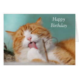 Ginger Cat Birthday Cards - Greeting & Photo Cards | Zazzle