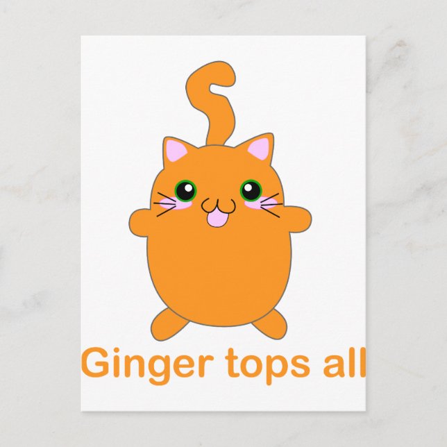 cute ginger cat postcard (Front)