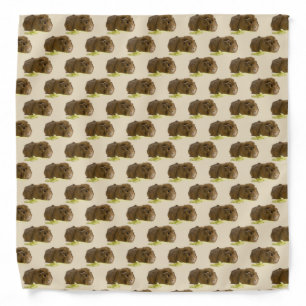 Cute Ginger Guinea Pig Eating Celery Photograph Bandana