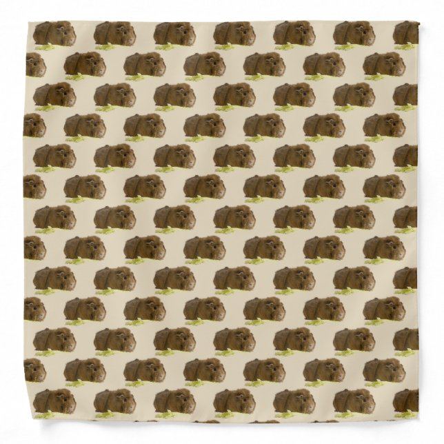 Cute Ginger Guinea Pig Eating Celery Photograph Bandana (Front)