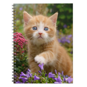 Cute ginger kitten in a garden notebook