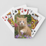 Cute Ginger Kitten In A Garden Playing Cards at Zazzle